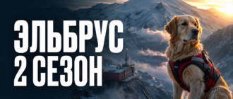 Золотистый ретривер-спасатель на фоне заснеженных гор — обложка статьи о 2 сезоне сериала «Эльбрус»