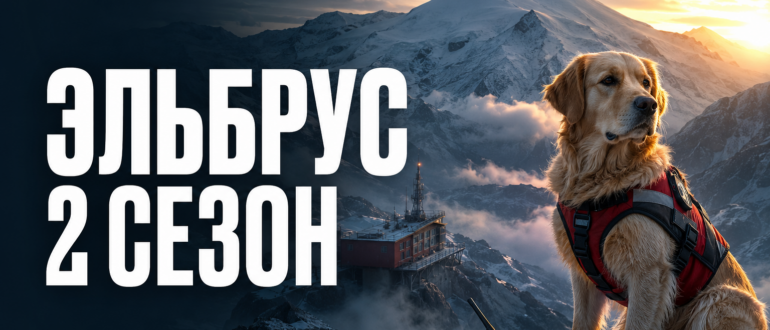 Золотистый ретривер-спасатель на фоне заснеженных гор — обложка статьи о 2 сезоне сериала «Эльбрус»